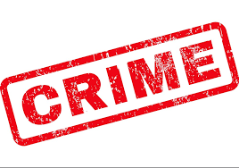 Insulting MSEDCL employees | महावितरणच्या कर्मचाऱ्यांना शिवीगाळ