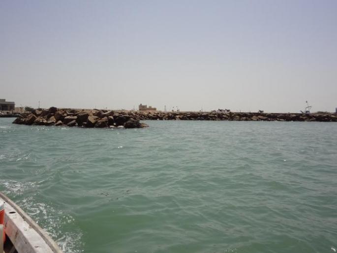 Order to include 'Kashyapi' project sufferers in municipal corporation | ‘कश्यपी’ प्रकल्पग्रस्तांना महापालिकेत सामावून घेण्याचे आदेश