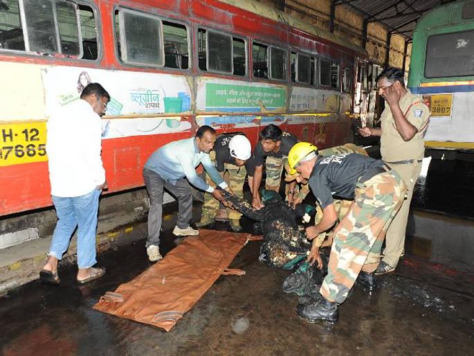 Disaster Management, Passenger Jivari | आपत्तीची रंगित तालीम, प्रवाशांच्या जिव्हारी