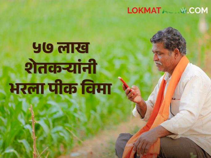 Crop Insurance : Only 12 days left for crop insurance! So far only the applications have come | Crop Insurance : पीक विम्यासाठी केवळ १२ दिवस बाकी! आत्तापर्यंत एवढेच आले अर्ज