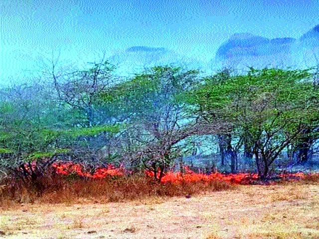 The mountain fire at Khamkheda | खामखेडा येथील डोंगराला आग The mountain fire at Khamkheda | खामखेडा येथील डोंगराला आग