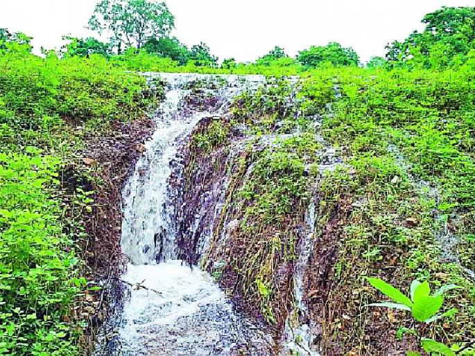 Forest ponds overflow | जंगलातील तलाव ओव्हरफ्लो