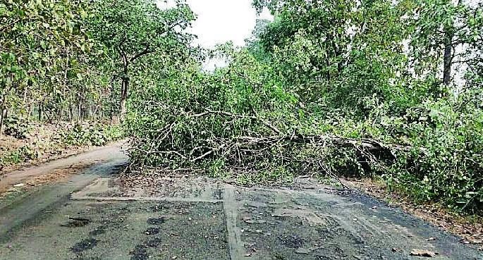 The rain erupted in the district | जिल्ह्यात पावसाचा कहर सुरूच The rain erupted in the district | जिल्ह्यात पावसाचा कहर सुरूच