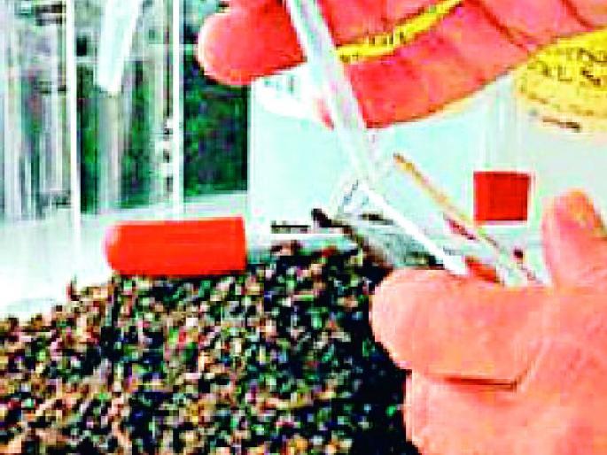 Lack of nitrogen and phosphorus | नत्र व स्फुरदची कमतरता Lack of nitrogen and phosphorus | नत्र व स्फुरदची कमतरता