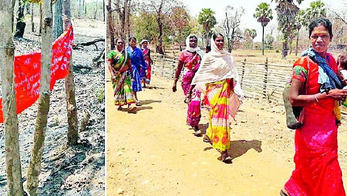 Lok Sabha Election 2019; Now say 'hats of Gadchiroli'! | Lok Sabha Election 2019; आता ‘हॅट्स आॅफ गडचिरोलीकर’ म्हणा! Lok Sabha Election 2019; Now say 'hats of Gadchiroli'! | Lok Sabha Election 2019; आता ‘हॅट्स आॅफ गडचिरोलीकर’ म्हणा!
