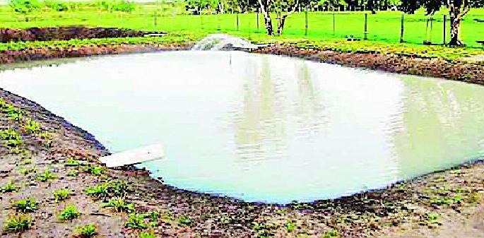 Production of four thousand farmland | चार हजार शेततळ्यांची निर्मिती Production of four thousand farmland | चार हजार शेततळ्यांची निर्मिती