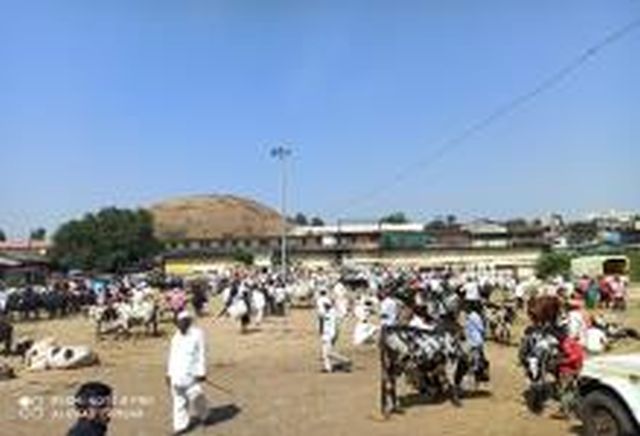 Ghoti bull market closed; Turnover of crores stalled | घोटीतील बैलबाजार बंद; कोट्यवधींची उलाढाल ठप्प