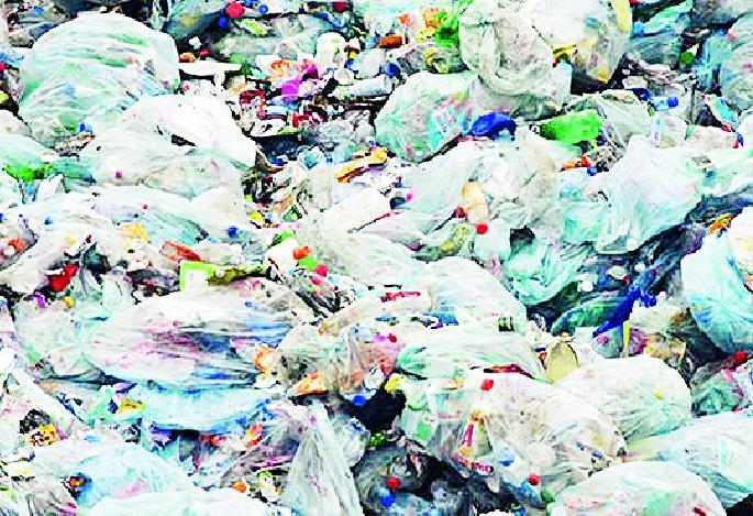 Plastic waste hazardous to health | प्लास्टिकचा कचरा आरोग्याला घातक Plastic waste hazardous to health | प्लास्टिकचा कचरा आरोग्याला घातक