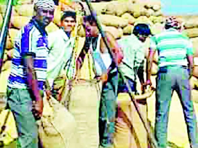 In the final stage of the procurement process of Salekasa Paddy | सालेकसा धान खरेदीची चौकशी अंतिम टप्प्यात In the final stage of the procurement process of Salekasa Paddy | सालेकसा धान खरेदीची चौकशी अंतिम टप्प्यात