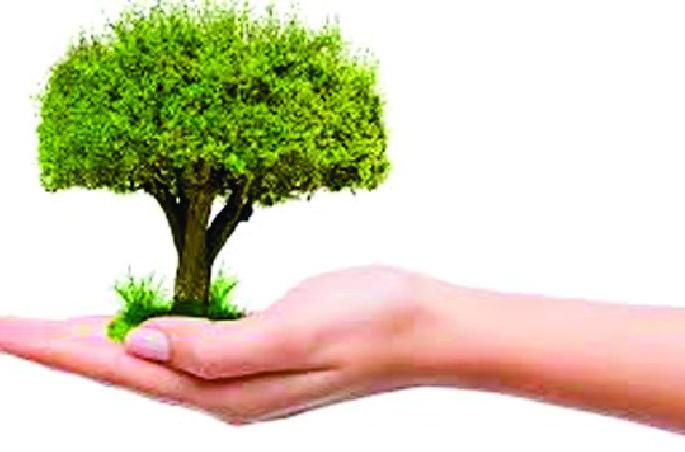 Waiting for administrative approval for tree plantation program | वृक्ष लागवड कार्यक्रमाला प्रशासकीय मंजुरीची प्रतीक्षा Waiting for administrative approval for tree plantation program | वृक्ष लागवड कार्यक्रमाला प्रशासकीय मंजुरीची प्रतीक्षा