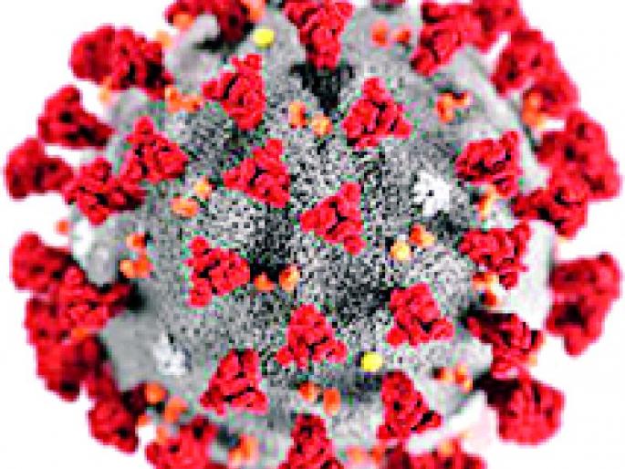 Another corona infestation was reported in the district | जिल्ह्यात पुन्हा एका कोरोना बाधिताची नोंद Another corona infestation was reported in the district | जिल्ह्यात पुन्हा एका कोरोना बाधिताची नोंद