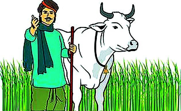 There are 46,000 farmers in the district on green list | ग्रीन यादीत जिल्ह्यातील ४६ हजार शेतकरी There are 46,000 farmers in the district on green list | ग्रीन यादीत जिल्ह्यातील ४६ हजार शेतकरी
