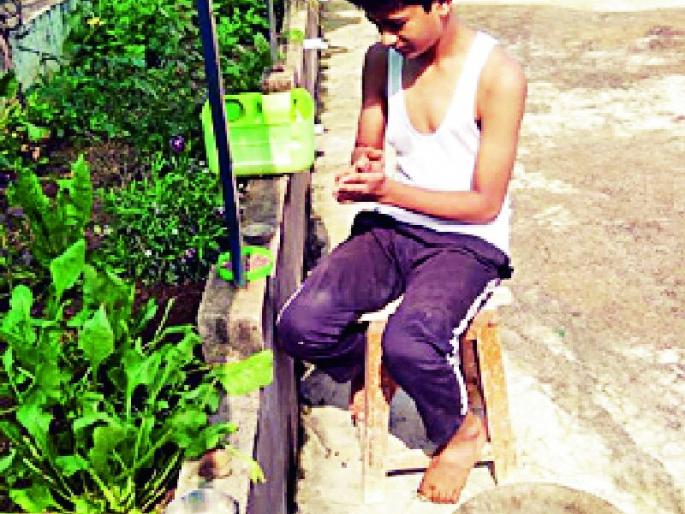 We are in the tree ..... | वृक्षवल्ली आम्हा सोयरे .....! We are in the tree ..... | वृक्षवल्ली आम्हा सोयरे .....!