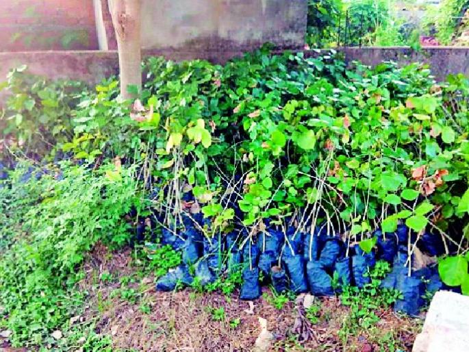 Monopoly of Sarpanch and village servant | सरपंच व ग्रामसेवकाचा स्वमर्जीने कारभार Monopoly of Sarpanch and village servant | सरपंच व ग्रामसेवकाचा स्वमर्जीने कारभार