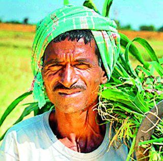 The conditions of the ground water laws affect farmers | भूजल अधिनियमातील अटींचा शेतकऱ्यांना फटका The conditions of the ground water laws affect farmers | भूजल अधिनियमातील अटींचा शेतकऱ्यांना फटका