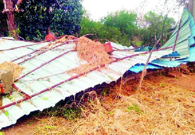 The taluka was hit by a hail | तालुक्याला गारपिटीने झोडपले The taluka was hit by a hail | तालुक्याला गारपिटीने झोडपले