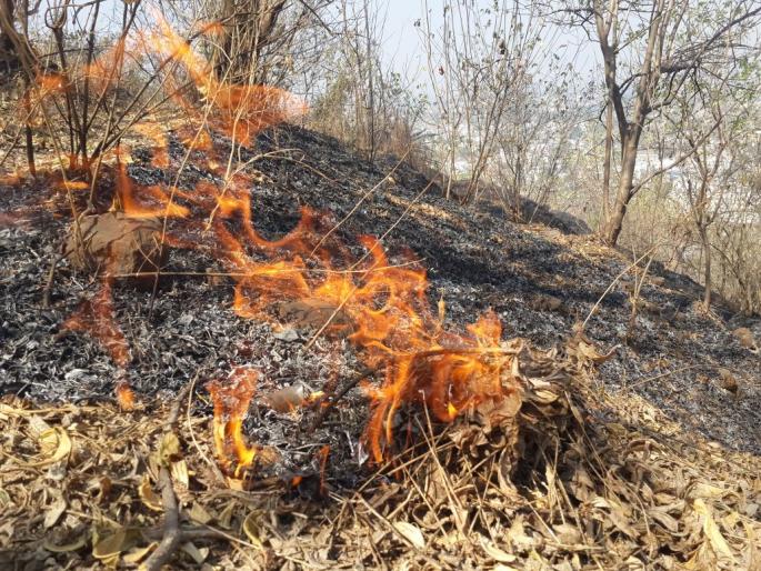 Satara: in the Wilde forest; In a haphazard village, threatens wildlife; Fearful environment in the nearby town, new challenge before forest department | सातारा : वणवा जंगलात; धावपळ गावात, वनसंपदा धोक्यात ; नजीकच्या गावात भीतीचे वातावरण, वन विभागापुढे नवे आव्हान