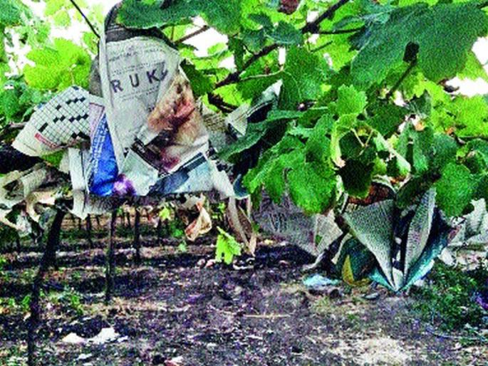 The need for Savvadon crore needs for the victims | नुकसानग्रस्तांसाठी सव्वादोन कोटींची गरज