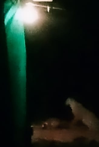 Leopard roaming in Chinchaksad | चिंचकसाडमध्ये बिबट्याचा वावर