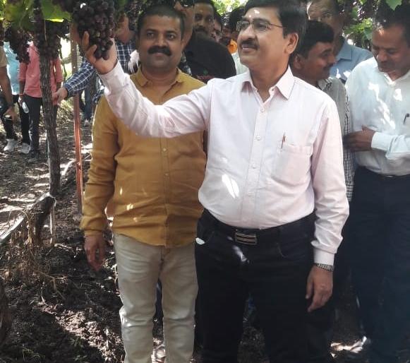 Launch of the Grape Science Campaign | द्राक्ष विज्ञान अभियानाचा शुभारंभ Launch of the Grape Science Campaign | द्राक्ष विज्ञान अभियानाचा शुभारंभ