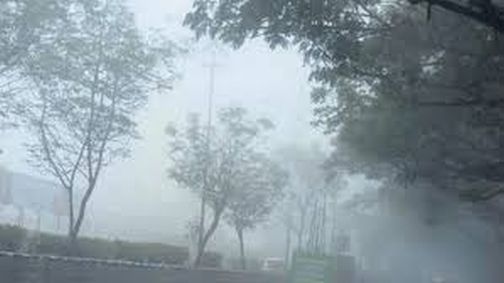 The district froze due to low temperature | तापमान घसरल्याने जिल्हा गारठला