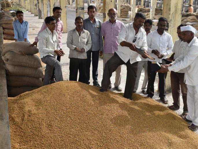 Grain quality test for warranted in Nandurbar market committee | नंदुरबार बाजार समितीत हमीभावासाठी धान्याची गुणवत्ता चाचणी Grain quality test for warranted in Nandurbar market committee | नंदुरबार बाजार समितीत हमीभावासाठी धान्याची गुणवत्ता चाचणी