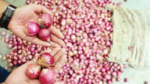 The price of summer onion at Rs | वणीत उन्हाळ कांद्याला १३७० रुपये दर The price of summer onion at Rs | वणीत उन्हाळ कांद्याला १३७० रुपये दर