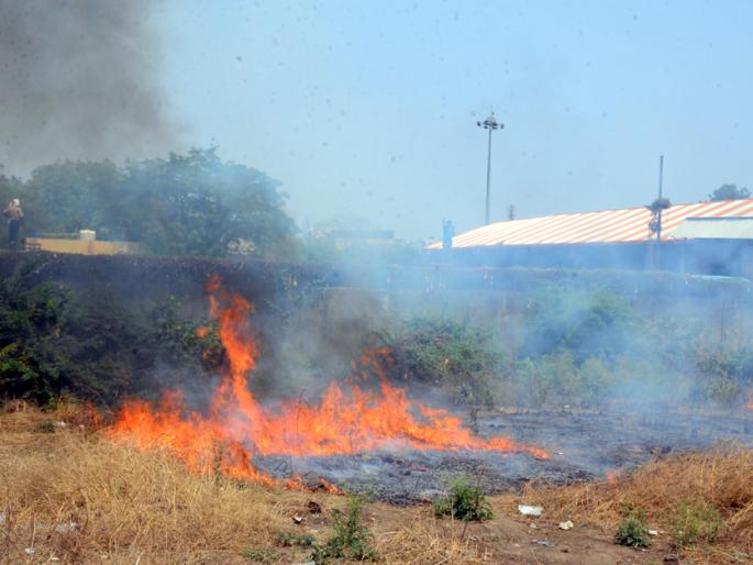 Parbhani: Fire on puppets near Bus Agar | परभणी : बस आगाराजवळील कुपाट्यांना आग Parbhani: Fire on puppets near Bus Agar | परभणी : बस आगाराजवळील कुपाट्यांना आग