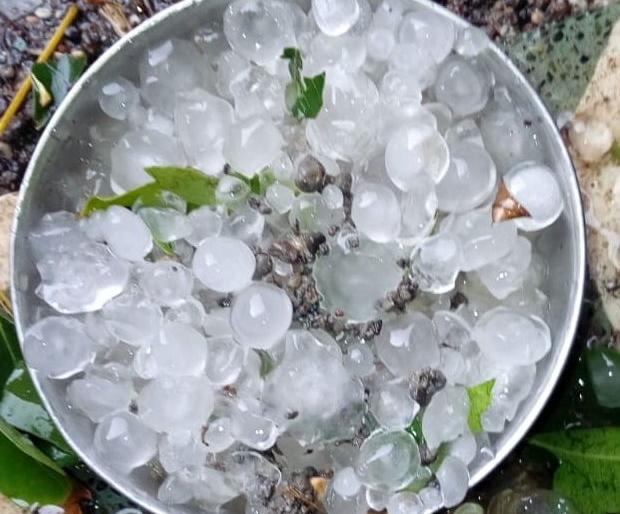 In the meantime, the rains receded | अवकाळी पावसाने पुन्हा झोडपले In the meantime, the rains receded | अवकाळी पावसाने पुन्हा झोडपले
