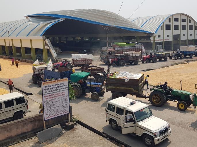 Bojwara in Chopda taluka with minimum basic price | किमान आधारभूत किमतीचा चोपडा तालुक्यात बोजवारा Bojwara in Chopda taluka with minimum basic price | किमान आधारभूत किमतीचा चोपडा तालुक्यात बोजवारा