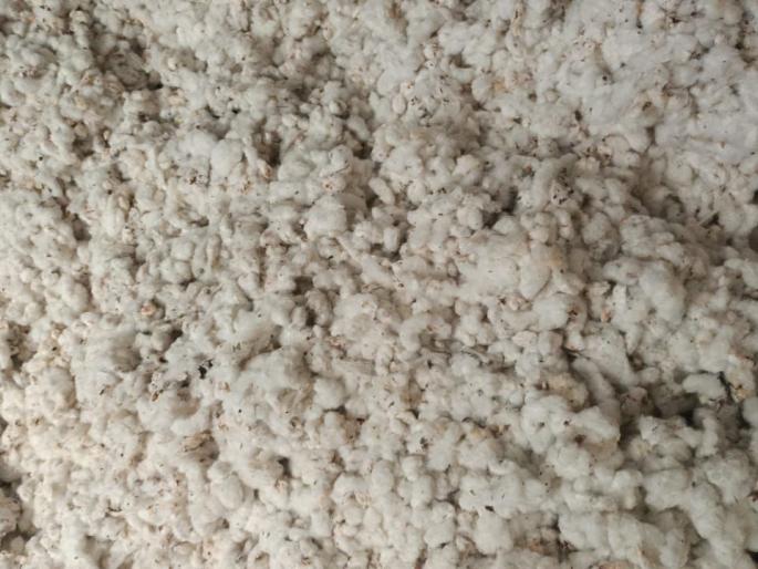 The economy in rural areas collapsed | ग्रामीण भागातील अर्थव्यवस्था कोलमडली The economy in rural areas collapsed | ग्रामीण भागातील अर्थव्यवस्था कोलमडली