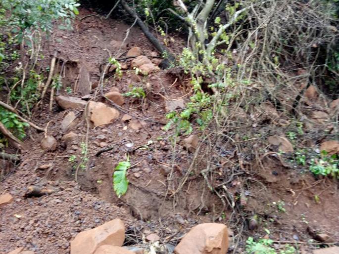 Due to rain, Kajali river floods | पावसाचे थैमान, काजळी नदीला पूर Due to rain, Kajali river floods | पावसाचे थैमान, काजळी नदीला पूर