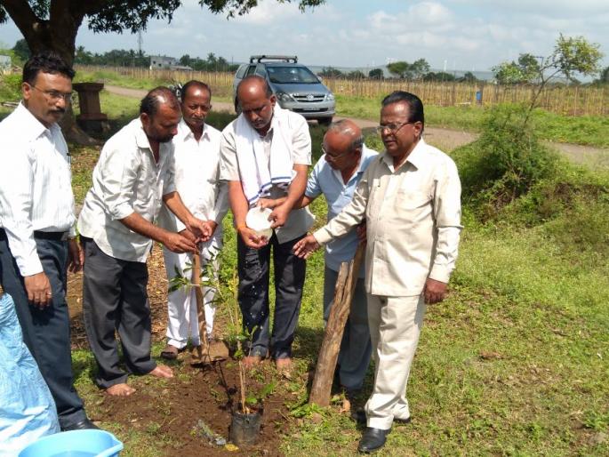 Seedlings of natural antiquity giving rubbish to ritualistic karmic | कर्मकांडाला मूठमाती देत निसर्गपूरक अंत्यविधीचे बीजारोपण Seedlings of natural antiquity giving rubbish to ritualistic karmic | कर्मकांडाला मूठमाती देत निसर्गपूरक अंत्यविधीचे बीजारोपण