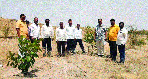 Bidlalkar's struggle for the conservation of fifteen thousand trees | पंधरा हजार वृक्षसंवर्धनासाठी बिदालकरांची धडपड Bidlalkar's struggle for the conservation of fifteen thousand trees | पंधरा हजार वृक्षसंवर्धनासाठी बिदालकरांची धडपड