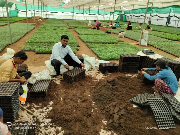 The daily tribal youth started earning lakhs of rupees | रोजंदारी आदिवासी तरुण कमावू लागला लाखो रुपये ! The daily tribal youth started earning lakhs of rupees | रोजंदारी आदिवासी तरुण कमावू लागला लाखो रुपये !