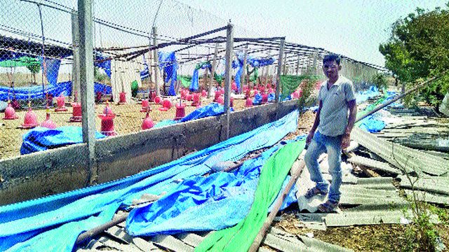 Storm of East in Sinnar | सिन्नरच्या पूर्व भागात वादळाचा तडाखा
