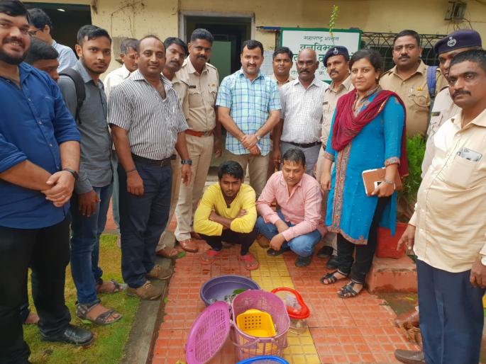 Star Kansa trafficking: Two more arrested from Mumbai | स्टार कासवांची तस्करी : आणखी दोघांना मुंबईतून अटक Star Kansa trafficking: Two more arrested from Mumbai | स्टार कासवांची तस्करी : आणखी दोघांना मुंबईतून अटक