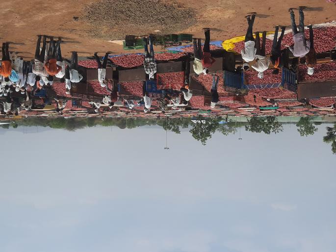 Onion brought from bullock cart at the rate of Rs. 2121 | बैलगाडीतून आणलेल्या कांद्यास २१२१ रुपये दर Onion brought from bullock cart at the rate of Rs. 2121 | बैलगाडीतून आणलेल्या कांद्यास २१२१ रुपये दर