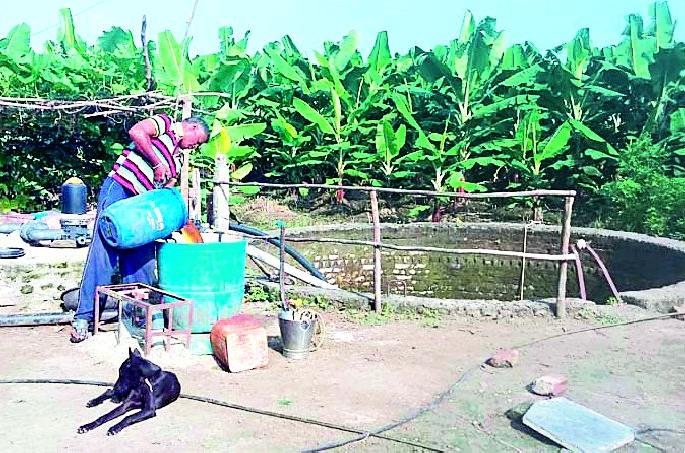 Two farmers planted flower garden banana in Phedgaon | पढेगावात दोन शेतकऱ्यांनी फुलविली केळीची बाग Two farmers planted flower garden banana in Phedgaon | पढेगावात दोन शेतकऱ्यांनी फुलविली केळीची बाग