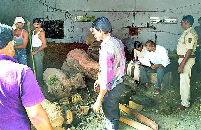 Action on illegal sewage disposal of forest section | वनविभागाची अवैध आरामशीनवर कारवाई