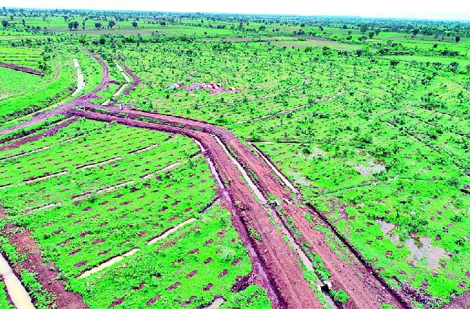 When 12.74 lakh saplings are planted? | १२.७४ लाख खड्ड्यांत रोपटे केव्हा?
