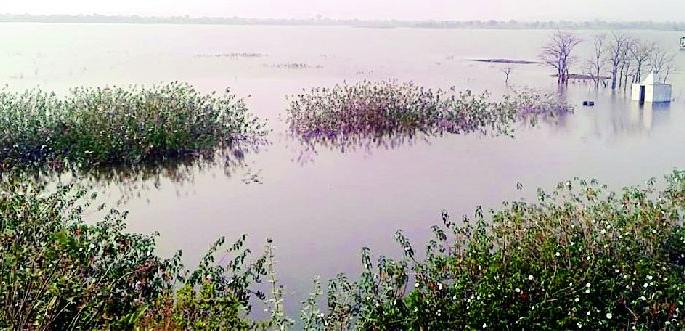 Throwing of Wardhaik to Madan Avai | मदन उन्नई भागविणार वर्धेकरांची तहान