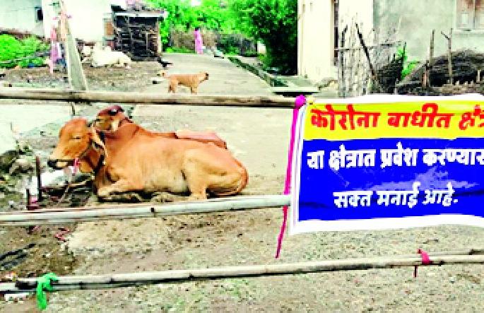 Ghonsa's citizens were outraged by the quarantine process | घोन्साचे नागरिक क्वॉरंटाईन प्रक्रियेवरून झाले संतप्त