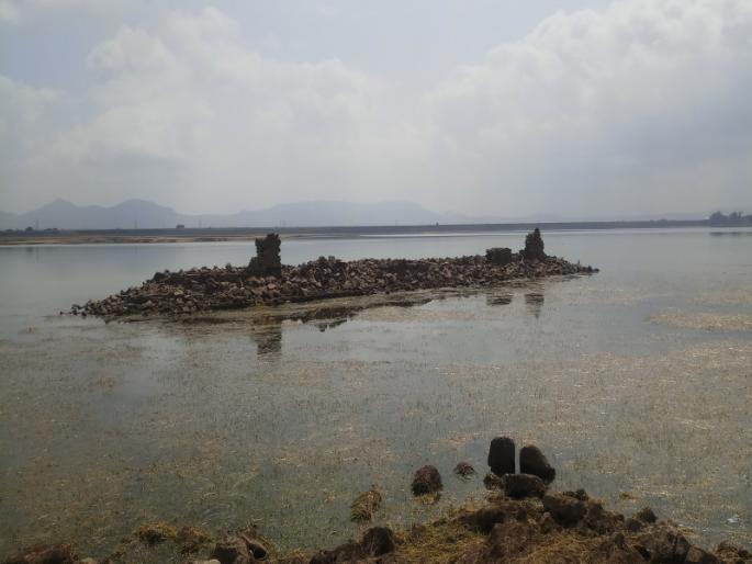 appearance after 44 years of the village | तलावात बुडालेल्या गावाचे ४४ वर्षांनी दर्शन appearance after 44 years of the village | तलावात बुडालेल्या गावाचे ४४ वर्षांनी दर्शन