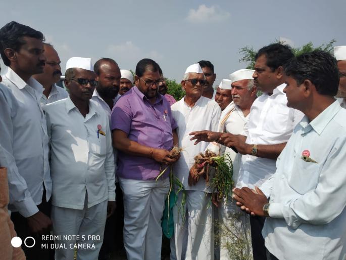 Raju Shetty reviews crop loss in Yeola | येवल्यातील पिक नुकसानीची राजू शेट्टी यांनी केली पाहणी