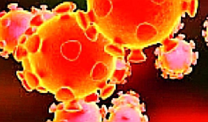 A five-day 'public curfew' has been imposed in Ner municipal area from Monday | नेर नगरपरिषद क्षेत्रात सोमवारपासून पाच दिवसांचा ‘जनता कर्फ्यू’ लागू A five-day 'public curfew' has been imposed in Ner municipal area from Monday | नेर नगरपरिषद क्षेत्रात सोमवारपासून पाच दिवसांचा ‘जनता कर्फ्यू’ लागू