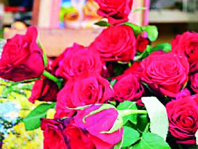 Contribution of 'Love Marriage' in Registration Marriage | नोंदणी विवाहात ‘लव्ह मॅरेज’वाल्यांचे योगदान Contribution of 'Love Marriage' in Registration Marriage | नोंदणी विवाहात ‘लव्ह मॅरेज’वाल्यांचे योगदान