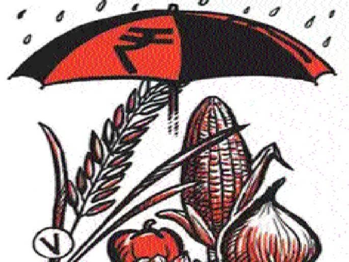 Farmers of Beed district increased their yield in the crop | बीड जिल्ह्यातील शेतकऱ्यांना हेक्टरी पीककर्जात वाढ