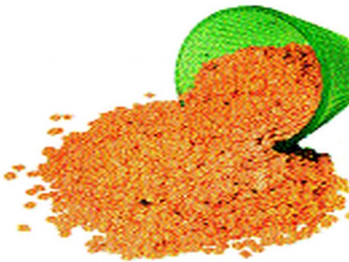 Priority of the first arrival of shoppers due to shortage of tiredness compared to ration card | शिधापत्रिकेच्या तुलनेत तूरडाळीची कमतरता दुकानदारांचे प्रथम येणाºयास प्राधान्य Priority of the first arrival of shoppers due to shortage of tiredness compared to ration card | शिधापत्रिकेच्या तुलनेत तूरडाळीची कमतरता दुकानदारांचे प्रथम येणाºयास प्राधान्य