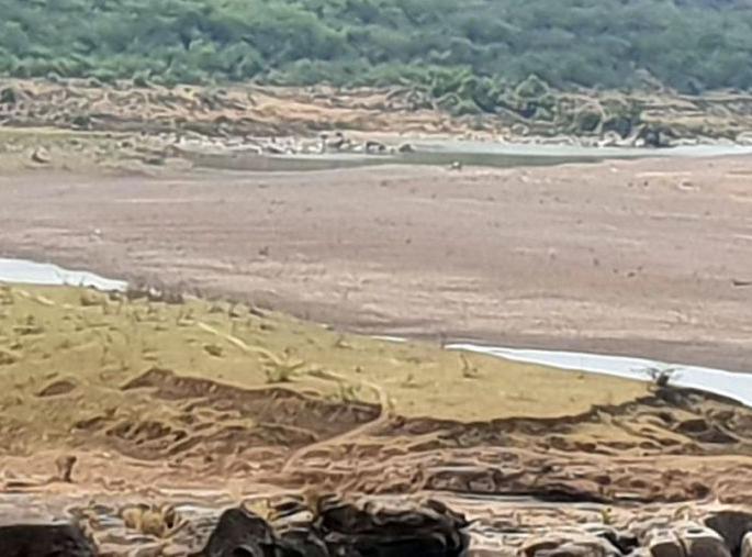 The form of ponds that came to the river Wardha | जीवनदायी वर्धा नदीला आले डबक्यांचे स्वरूप The form of ponds that came to the river Wardha | जीवनदायी वर्धा नदीला आले डबक्यांचे स्वरूप